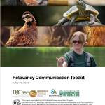 Image of the report cover featuring ads used in Relevancy project.